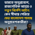 ভারতে অনুপ্রবেশ, রাজনৈতিক আশ্রয় ও নতুন বিদেশি আইন: কেন সীমান্ত পেরিয়ে ফের বাংলাদেশে পালাচ্ছে অনুপ্রবেশকারীরা